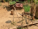 mekong (46)